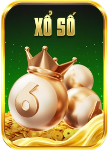 79KING-baner-nho-5